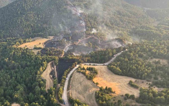 Bolu'da Orman Yangını Riski Uyarısı