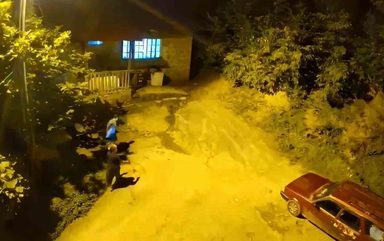Hopa'da Ayı Sesi Anne-Oğul'u Korkuttu