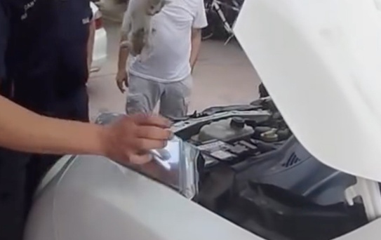 Yalova’da otomobile sıkışan minik kedinin yardımına itfaiye ekipleri yetişti