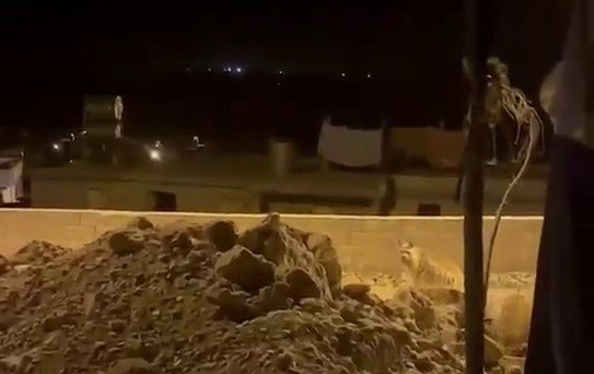 Adıyaman'da Çizgili Sırtlan Görüntülendi