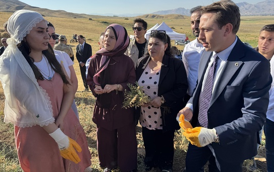Yüksekova'da Kadınların Nohut Hasadı
