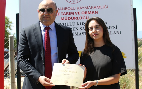 Safranbolu'da Safran Ekimi Başladı