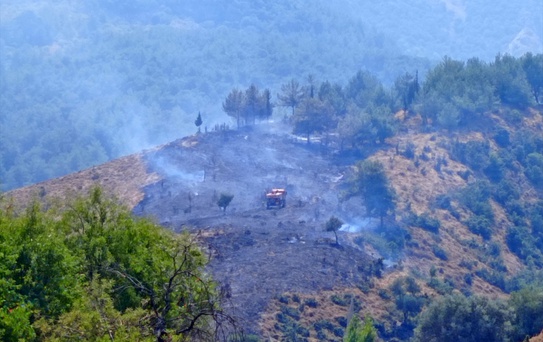 Manisa'da Orman Yangını Kontrol Altında