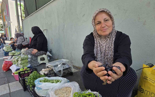 Samsun'da Bamya Sezonu Başladı - sondakika.com