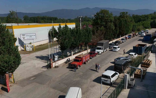 TMO Düzce'de Fındık Alımına Başladı