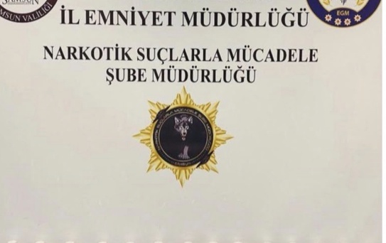 Samsun'da Uyuşturucu Operasyonu: 10 Gözaltı - sondakika.com