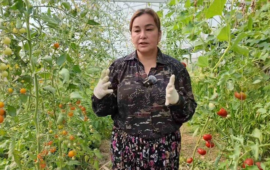 Yasemin Güler Orhan'ın Tarım Hikayesi