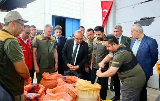 TMO, Giresun’da fındık alımına başladı