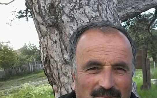 Kastamonu'da kestiği ağacın altında kalan adam yaşamını kaybetti