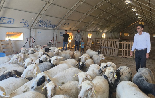 Aksaray'da Portatif Çadır Ağıl Projesi