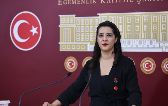 TBMM'ye Orman Yangınına İlişkin Soru Önergesi
