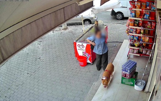 Köpeğini kurtarmak isterken parmağından oldu