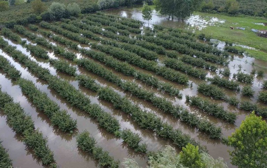 Çarşamba'da İkinci Sel Felaketi