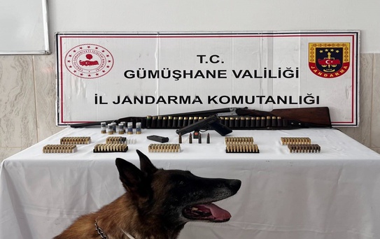 Kürtün'de Ruhsatsız Silah Operasyonu
