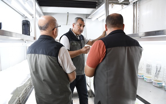 Mersin'deki Davultepe Laboratuvarında 2026'da 40 bin faydalı böcek üretildi
