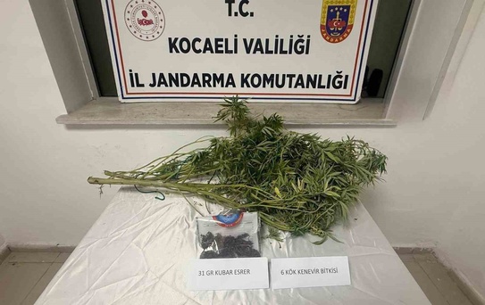 Kocaeli İzmit'te jandarmadan uyuşturucu operasyonu, 2 şüpheli hakkında işlem başlatıldı