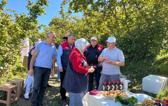 Kaynaşlı'da aronya bahçesinde hasat öncesi inceleme yapıldı, üretici bilgilendirildi
