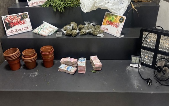 İzmir Konak'ta evinde Hint keneviri yetiştiren şüpheli tutuklandı