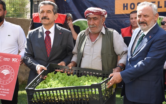 Şırnak'ta 17 üreticiye 152 bin 784 hibe destekli kışlık sebze fidesi dağıtıldı
