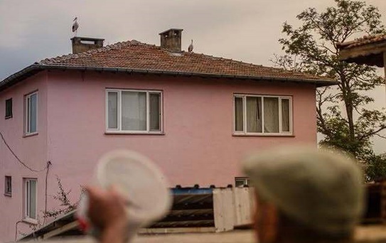 Yaren Leylek ile Eşi Nazlı, Bursa'daki Yuvalarından Göç Yolculuğuna Çıktı
