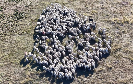 Geçen yıl 130 bindi, şimdi 150 bin TL! Talip olan yok