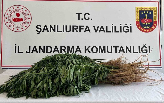 Şanlıurfa'da düzenlenen narkotik operasyonlarında 5 kişi gözaltına alındı