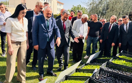 Şırnak'ta 17 çiftçiye 152 bin kışlık sebze fidesi, 50 yetiştiriciye çoban çantası dağıtıldı
