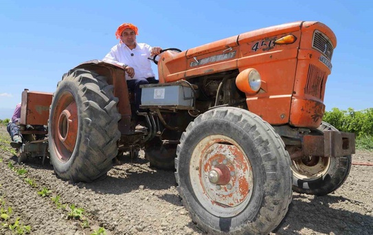 Manisa Saruhanlı Belediye Başkanı Ekrem Cıllı üzüm hasadında elini makineye kaptırdı