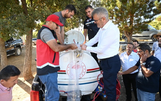Konya Seydişehir'deki göletlere 500 bin sazan yavrusu salındı