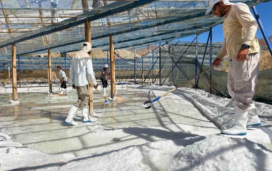 Kemah Kaymakamı Tutay, ilçedeki tuz işletmesinde hasada katıldı