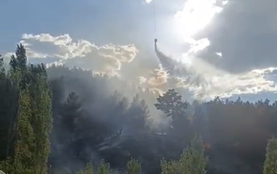 Burdur Gölhisar'da orman yangını havadan ve karadan müdahaleyle kontrol altına alındı