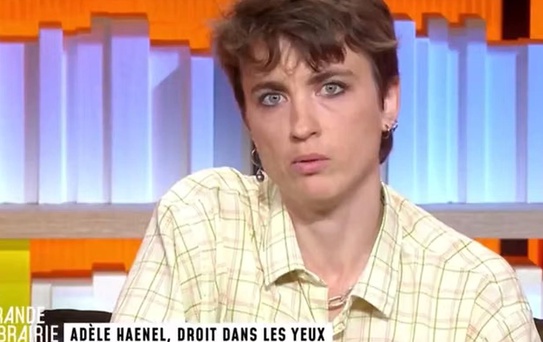 Fransa'da Haenel'in Gazze sözleri nedeniyle programın tekrarı France TV'den kaldırıldı