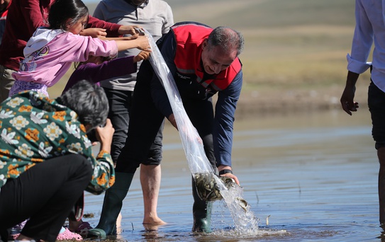 Kars Selim'deki Bayburt Barajı'na 500 bin sazan yavrusu salındı