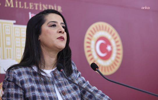 EMEP'li Karaca'dan LGBTİ operasyonuna tepki, gözaltılar derhal serbest bırakılsın