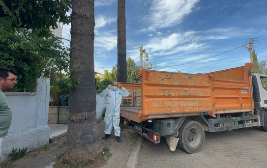 Marmaris'teki daireden bir kamyon çöp ve 30'a yakın kedi çıkarıldı