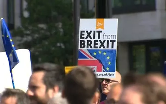 Londra'da Brexit Protestosu
