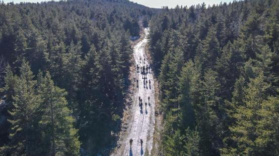 Ankarada ormanlara giriş yasaklandı