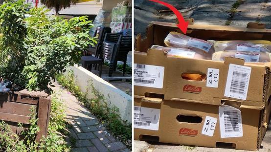 Zincir markette skandal! Tavukları güneşin altında beklettiler