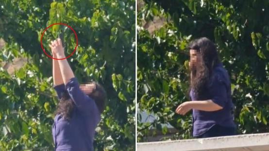 Önce erkek arkadaşının ofisini kurşunladı, sonra intihara kalkıştı