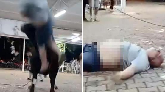 Yanına yaklaştığı boğa havaya fırlattı