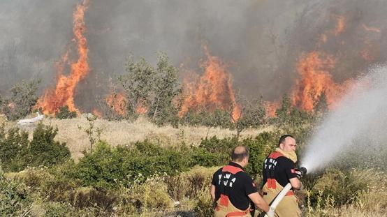 Manisadaki orman yangınına neden olan kişi tutuklandı