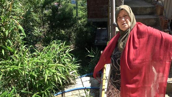 Mahalle sakininden kamış isyanı: Bir kaç sene sonra köy kapanır
