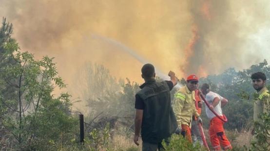 AFADdan orman yangınlarından etkilenenlere destek