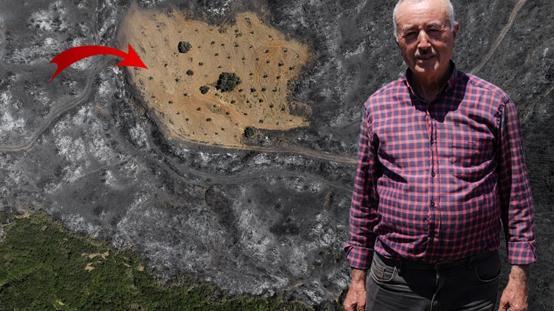 Ödemişte şaşırtan görüntü! Bir tek Ahmet Türkün arsası yanmadı