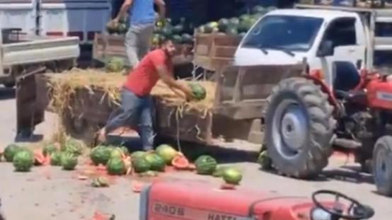 Karpuz parçalayan iki üretici yandı! Fahiş ceza yolda