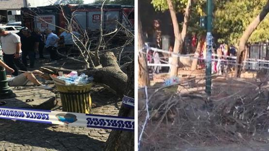 İstanbulda rüzgarın devirdiği ağaç 3 kişiyi yaraladı