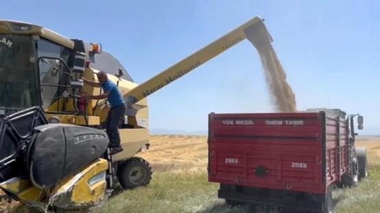 Ekme diyenlere inat ekti, tarladan bereket fışkırdı
