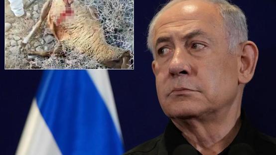 Sözün bittiği yer! Netanyahunun son vahşeti