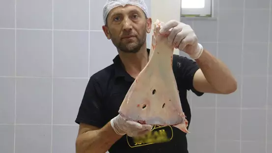 Selçukludan kalan gelenek asırlardır sürdürülüyor, büyü yapılmasın diye kürek kemikleri kırılıyor