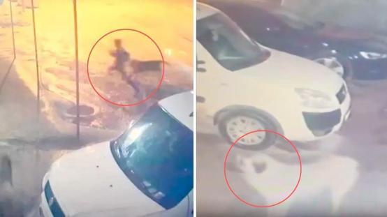 Sahipsiz köpek kabusu! 10 yaşındaki çocuğu dehşeti yaşadı